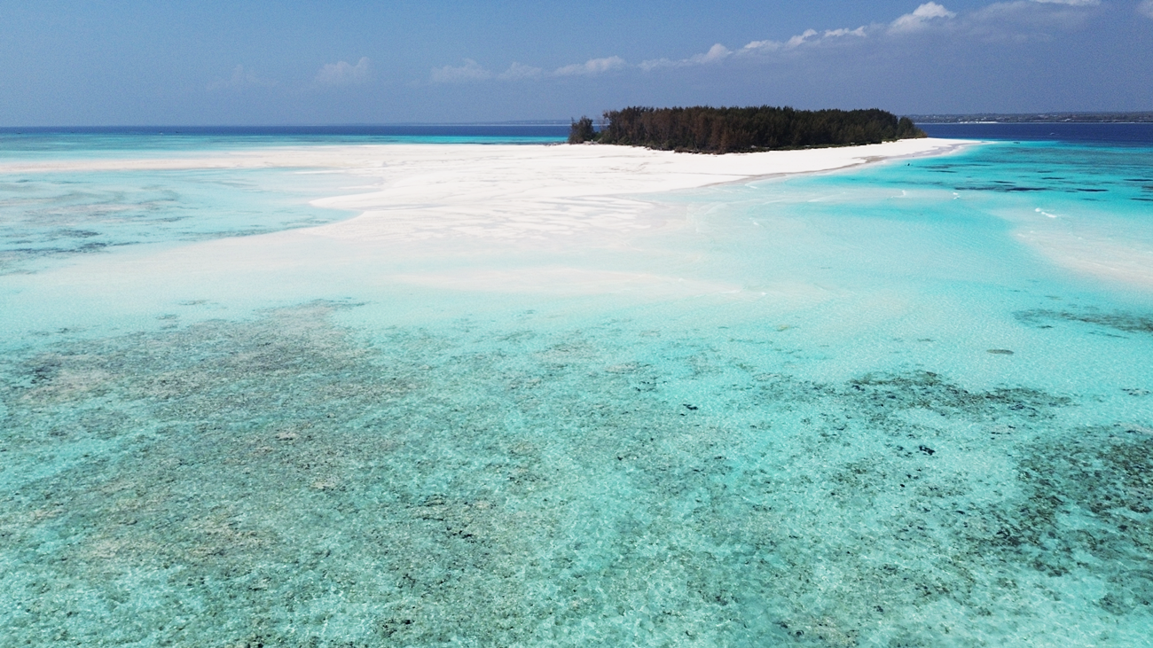 mnemba zanzibar