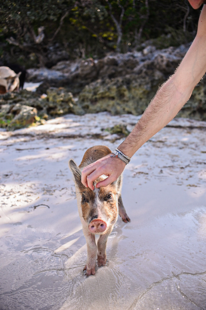 exuma escursione