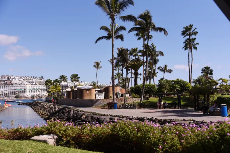 gran canaria guida
